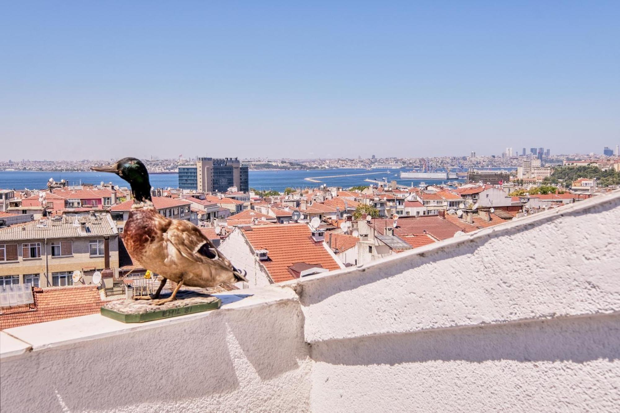 Duck Otel Istanbul Bagian luar foto